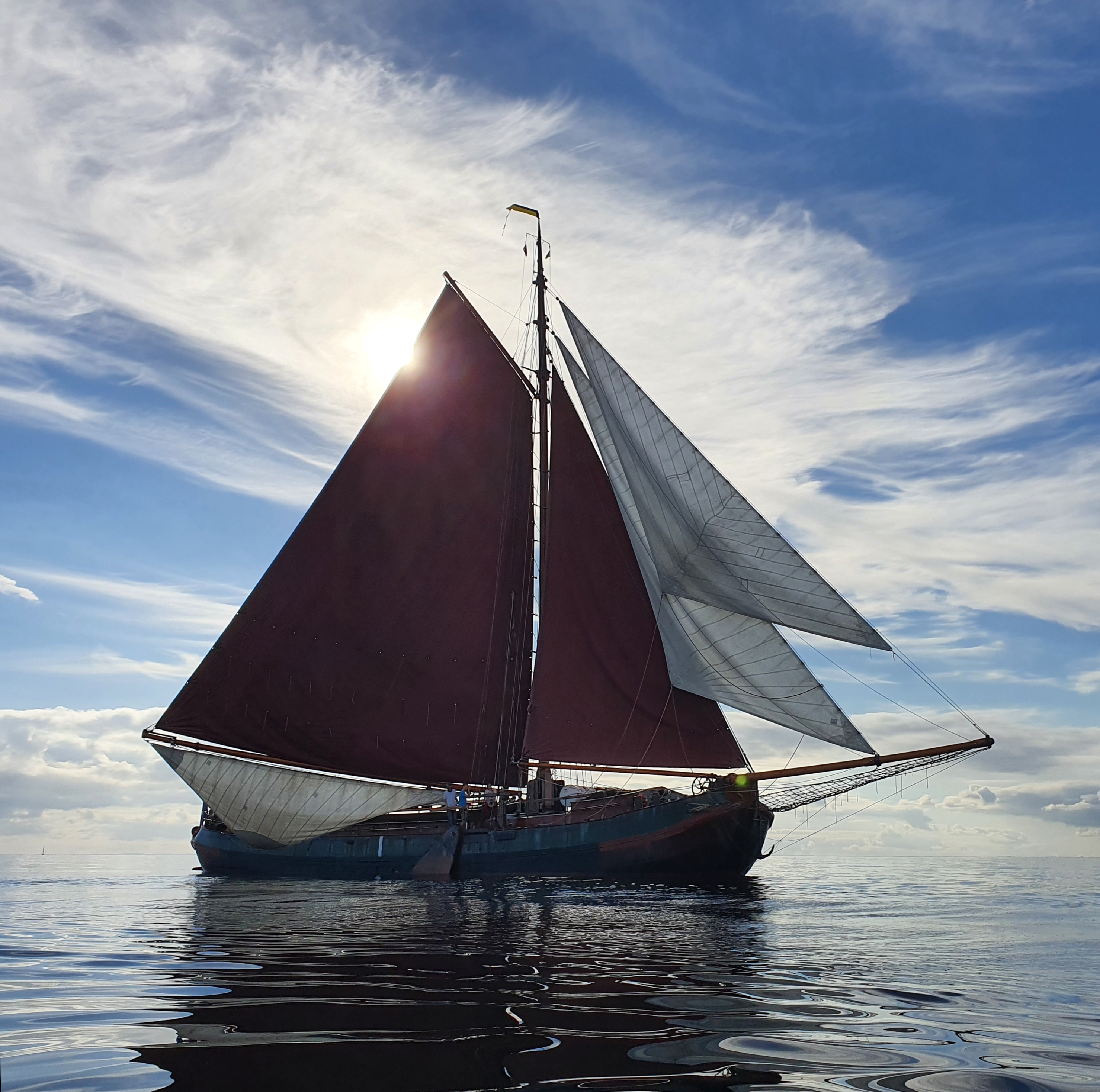 De Albertha liegt trocken im Wattenmeer